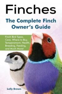 Finches: Finch Bird Types, Care, 1941070728