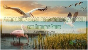 florida gulf coast birds