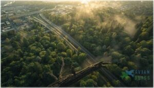 habitat loss and fragmentation