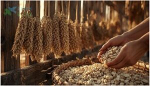 harvesting and seed processing techniques