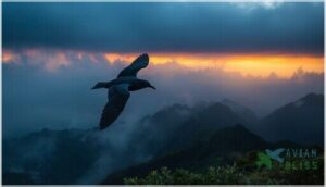 hawaiian petrel