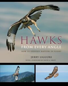 Hawks from Every Angle: How 0691118256