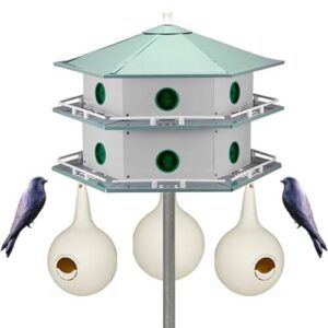 Heath 12 Room Deluxe Purple Martin B009L6IXRG
