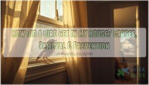 how did a bird get in my house how did a bird get in my house