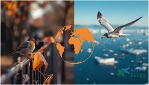 how far do birds travel during migration