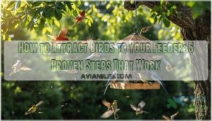 how to attract birds to feeder