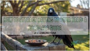 how to attract ravens