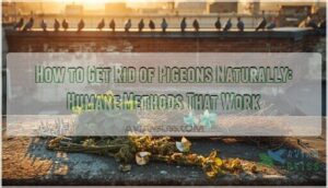 how to get rid of pigeons naturally