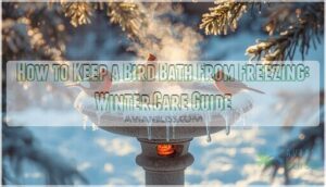 how to keep a bird bath from freezing