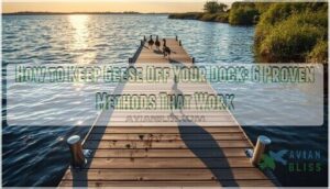 how to keep geese off your dock