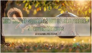 how to keep squirrels out of bird feeders how to keep squirrels out of bird feeders
