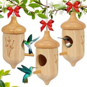 Hummingbird House, Wooden Hummingbird Houses B0DCSMG6GR