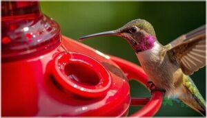 ideal port designs for hummingbirds