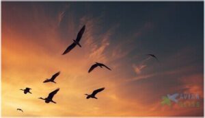 identifying birds by flight behavior