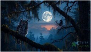 identifying night birds by sight and sound