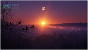 impact of sunrise and moonlight on song timing