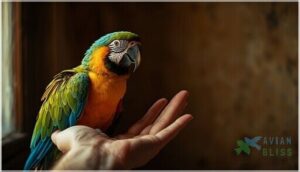 improving bird-owner relationships through body language