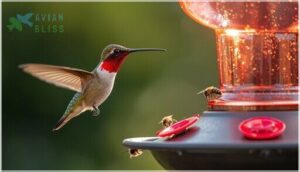 installing bee guards and nectar protectors