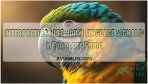 interpreting bird body language signals