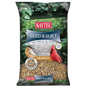 Kaytee Seed & Suet No B09YSVHRDB
