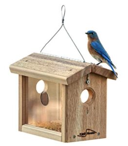 Kettle Moraine Cedar Hanging Bluebird B00CGMZYBU