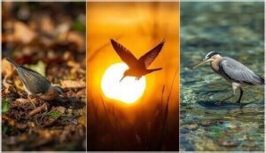 key foraging strategies in birds key foraging strategies in birds