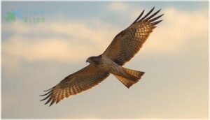 key mechanics behind bird flight