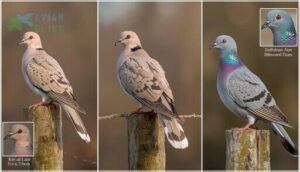 key physical characteristics