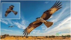 key physical characteristics