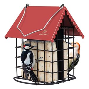 Kingsyard Double Suet Bird Feeder B0B42M7LJ2
