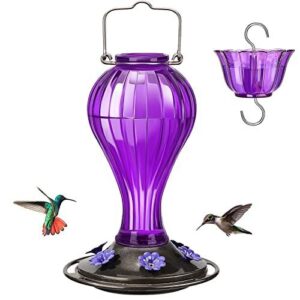 Kingsyard Glass Hummingbird Feeder 24 B0BFDXX8JX