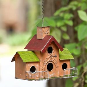 Large Bird Houses for Outside B0CG1TNB9L