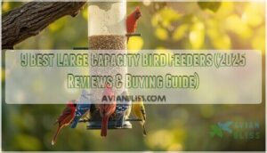 large capacity bird feeders large capacity bird feeders