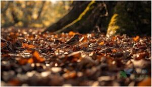 leaves and leaf litter under trees