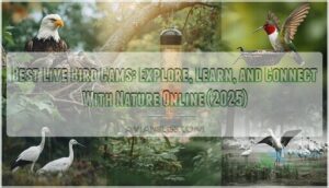 live bird cams