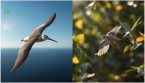 long vs. short wings