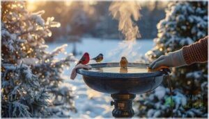 maintaining your heated bird bath