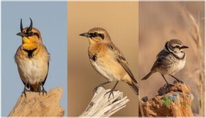 male, female, and juvenile differences