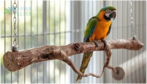 manzanita double bolt perches