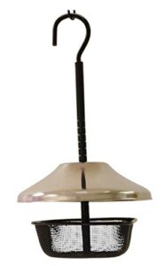 Mealworms Bird Feeder | 5 B07TBB2F4W