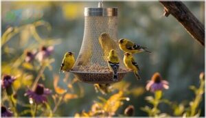 mesh and screen feeders