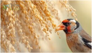 millet seeds for small finch beaks