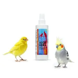 Morning Bird Aloe Vera Spray B0DRW9NCCV