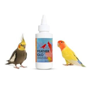 Morning Bird Feather Glo 2 B09VM5HLKJ