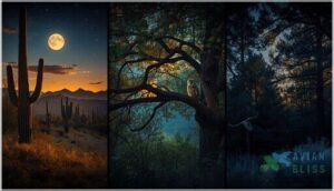 night bird habitats and distribution