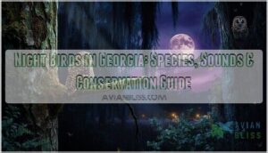 night birds in georgia