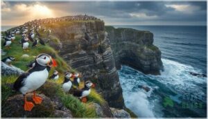 north atlantic coastal regions