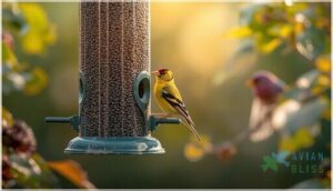 nyjer seed - the ultimate finch favorite