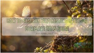 observing bird nesting habits