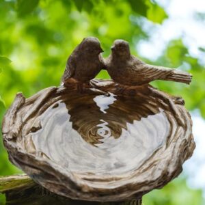 Outdoor Bird Feeder Wild Bird B0F2Z445P4